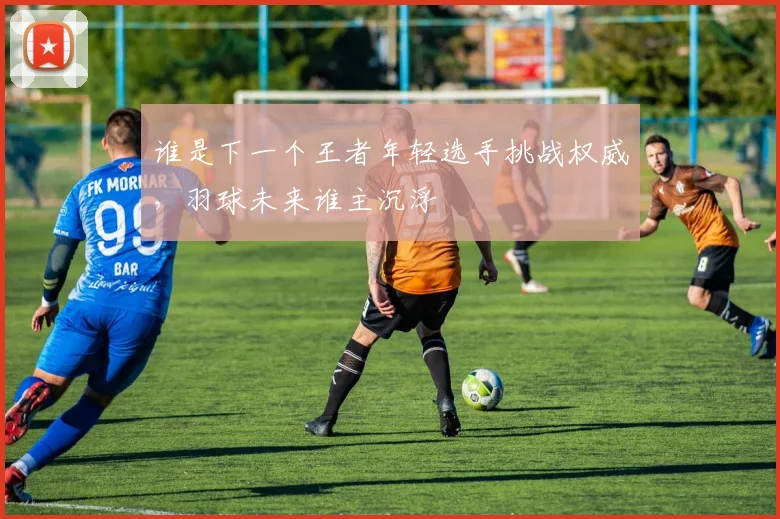 谁是下一个王者年轻选手挑战权威,羽球未来谁主沉浮