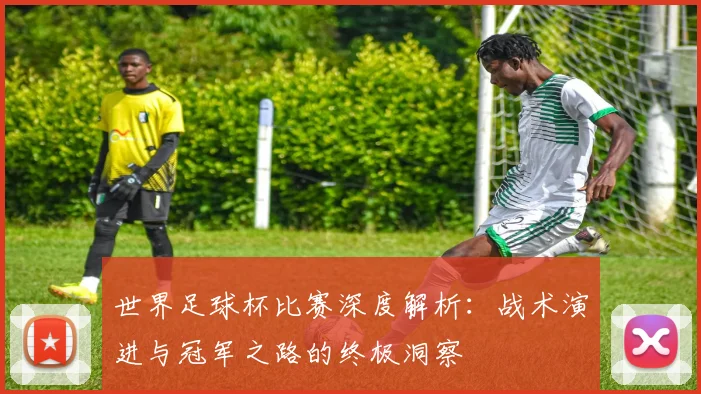 世界足球杯比赛深度解析：战术演进与冠军之路的终极洞察