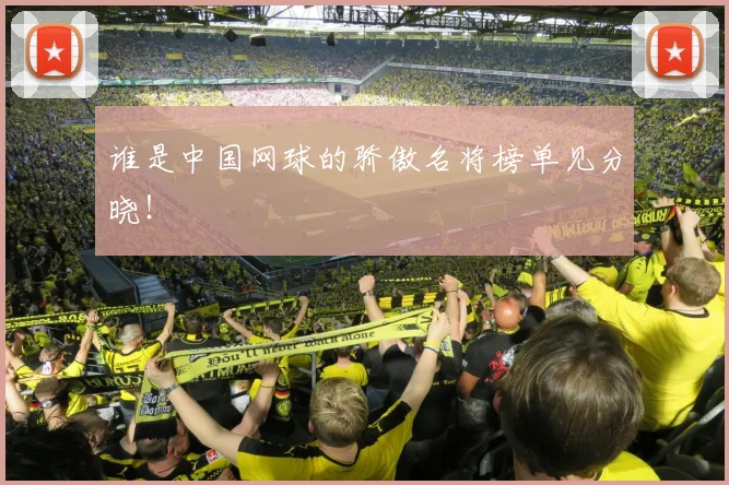 谁是中国网球的骄傲名将榜单见分晓！